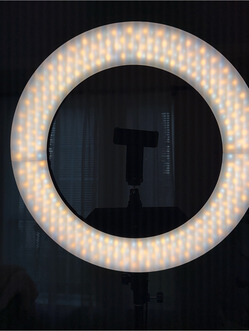 28’ LED Ring Light with Adjustable Warmth - Black